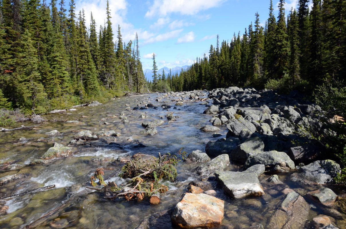 08 Cavell Creek From Bridge At End Of Cavell Lake